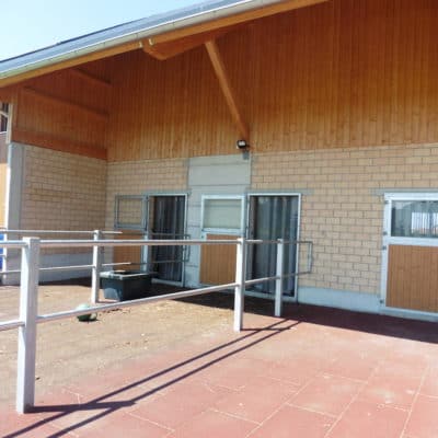 Neubau Stallgebäude