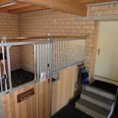 Neubau Stall