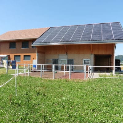 Neubau